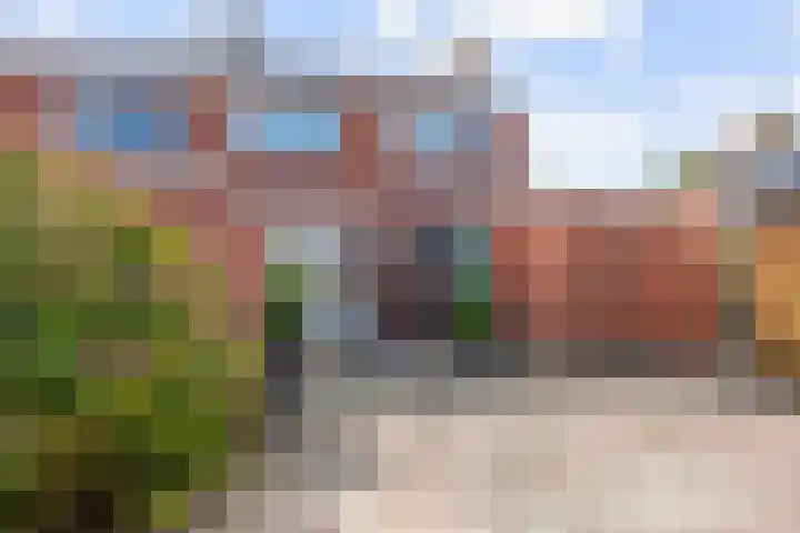 Borgweg 77 Winsum thumbnail 30
