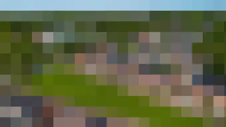 Borgweg 77 Winsum thumbnail 33