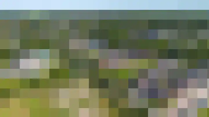 Borgweg 77 Winsum thumbnail 34