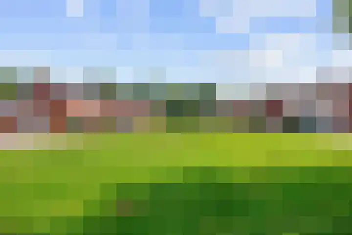 Borgweg 77 Winsum thumbnail 4