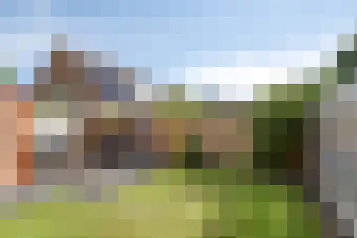 Borgweg 80 Noordhorn thumbnail 12