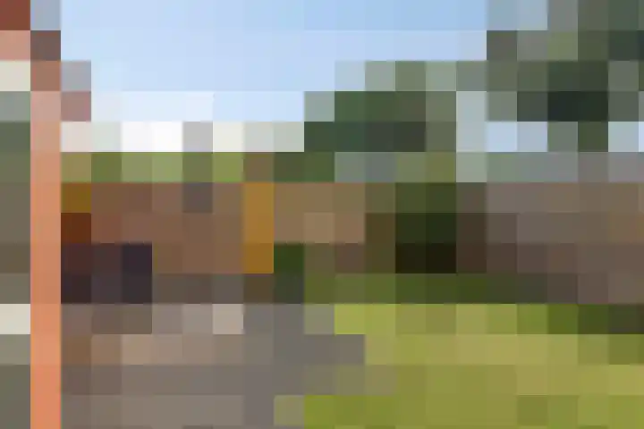 Borgweg 80 Noordhorn thumbnail 13