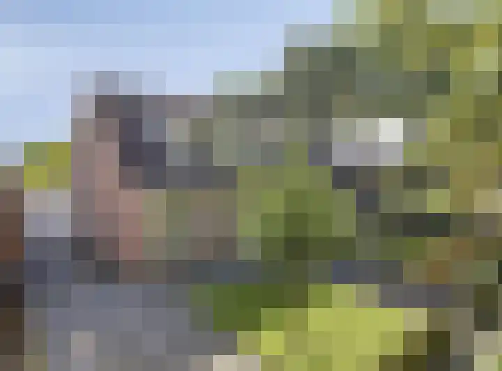 Borgweg 80 Noordhorn thumbnail 28