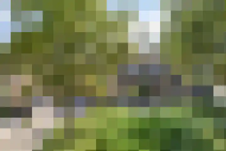 Borgweg 80 Noordhorn thumbnail 29
