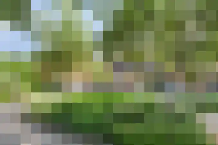 Borgweg 80 Noordhorn thumbnail 30