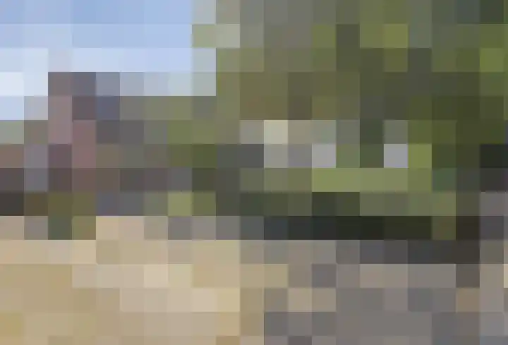 Borgweg 80 Noordhorn thumbnail 35