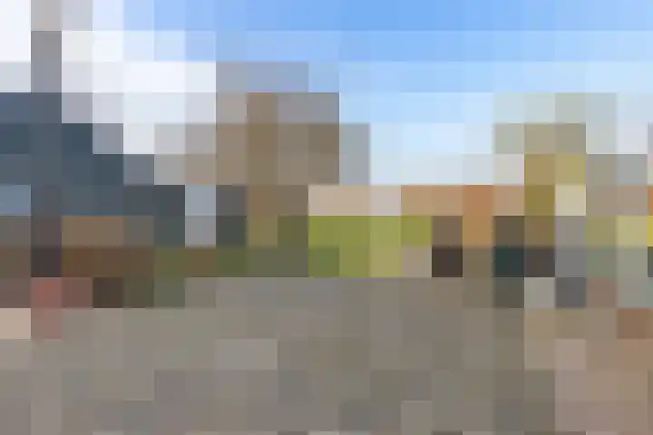 Borgweg 81 Zeerijp thumbnail 16