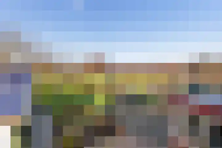 Borgweg 81 Zeerijp thumbnail 18