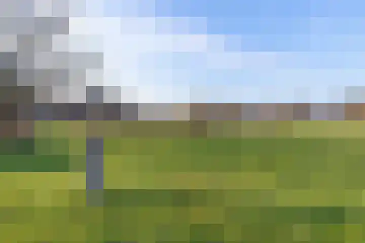 Borgweg 81 Zeerijp thumbnail 19