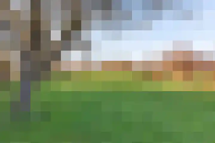 Borgweg 81 Zeerijp thumbnail 20