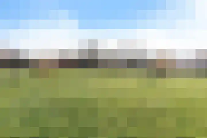Borgweg 81 Zeerijp thumbnail 21