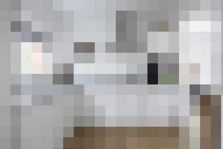 Borgweg 97 Winsum thumbnail 12