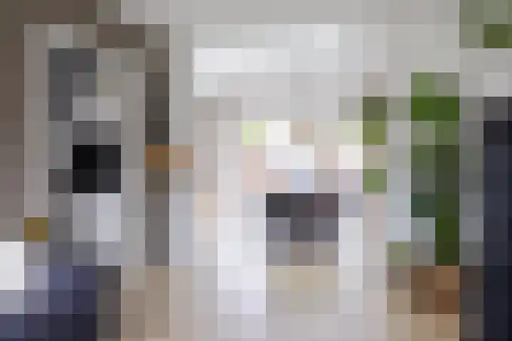 Borgweg 97 Winsum thumbnail 16