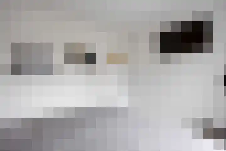 Borgweg 97 Winsum thumbnail 31