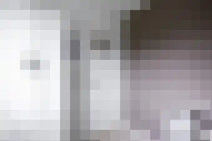 Borgweg 97 Winsum thumbnail 35