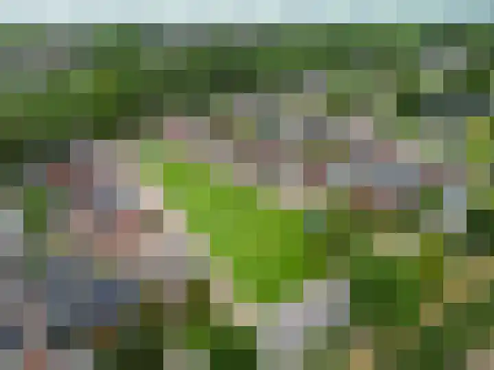 Borgweg 97 Winsum thumbnail 44