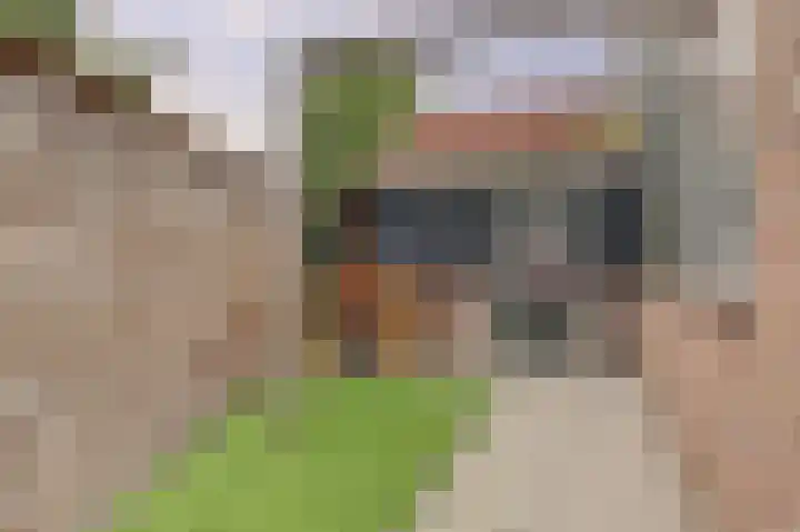 Borinagestraat 1 Alkmaar thumbnail 35