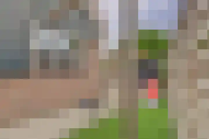 Borinagestraat 1 Alkmaar thumbnail 36
