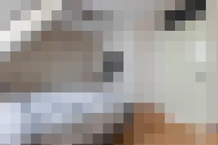 Borinagestraat 10 Alkmaar thumbnail 15