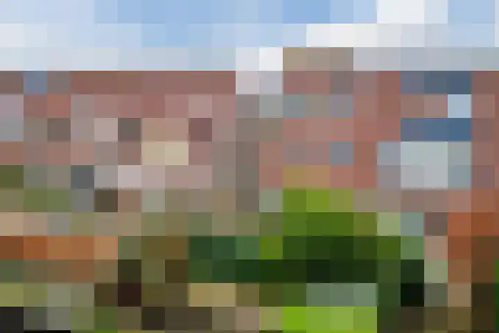 Borinagestraat 10 Alkmaar thumbnail 31