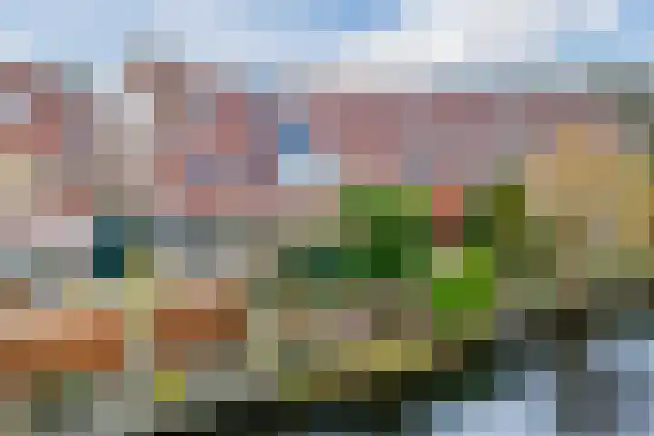 Borinagestraat 10 Alkmaar thumbnail 33