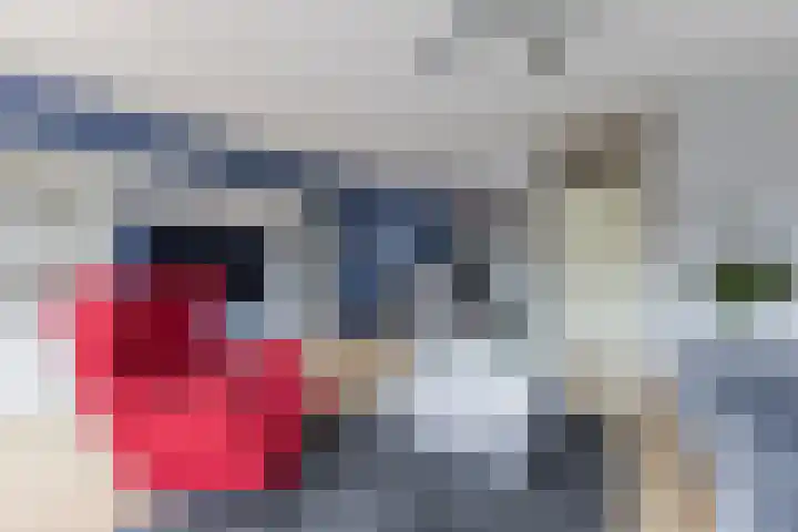 Borinagestraat 10 Alkmaar thumbnail 7