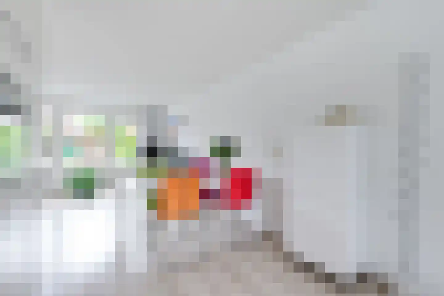 Borinagestraat 8 Alkmaar thumbnail 14