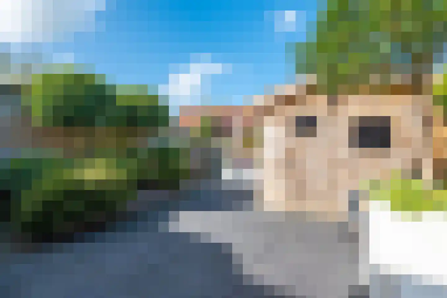 Borinagestraat 8 Alkmaar thumbnail 17