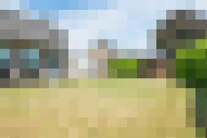 Boringshof 4 Zuidlaren thumbnail 13