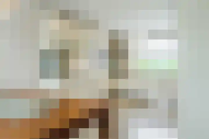 Boringshof 4 Zuidlaren thumbnail 22