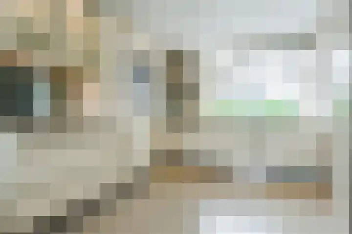 Boringshof 4 Zuidlaren thumbnail 23