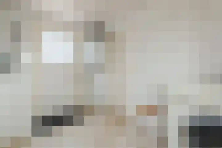 Boringshof 4 Zuidlaren thumbnail 28