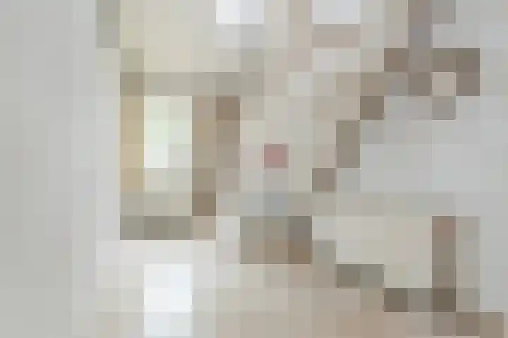 Boringshof 4 Zuidlaren thumbnail 29