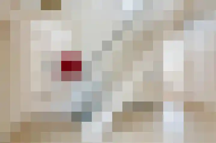 Boringshof 4 Zuidlaren thumbnail 30