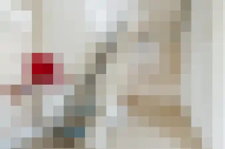 Boringshof 4 Zuidlaren thumbnail 31