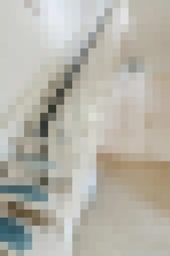 Boringshof 4 Zuidlaren thumbnail 32