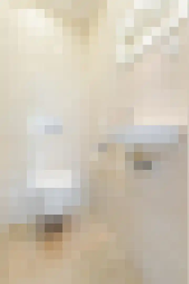 Boringshof 4 Zuidlaren thumbnail 33