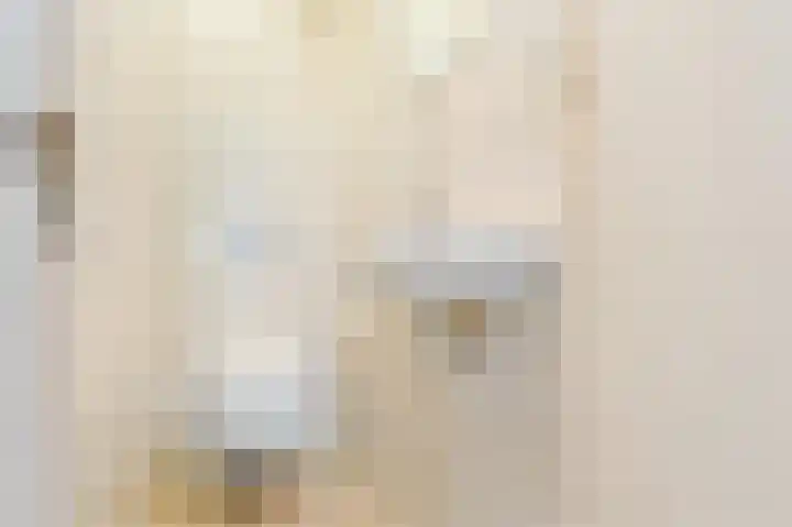 Boringshof 4 Zuidlaren thumbnail 35