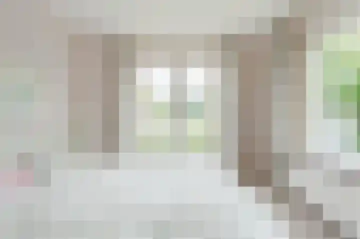Boringshof 4 Zuidlaren thumbnail 37