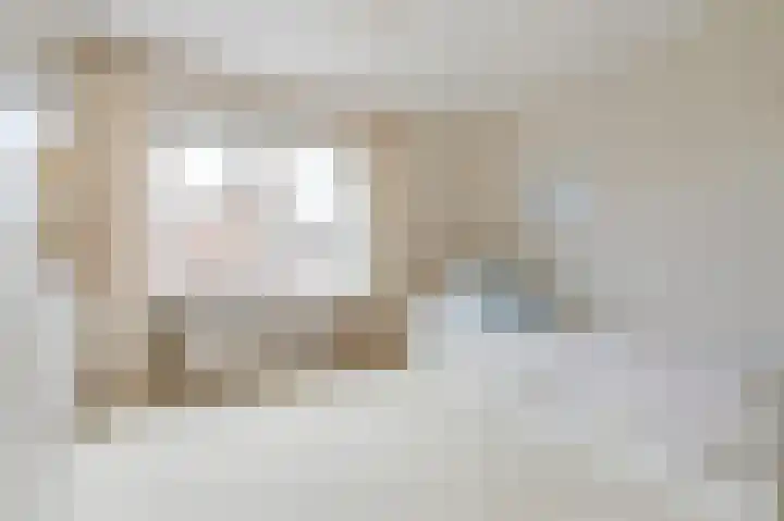 Boringshof 4 Zuidlaren thumbnail 40