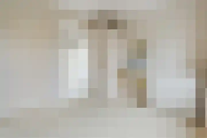 Boringshof 4 Zuidlaren thumbnail 41