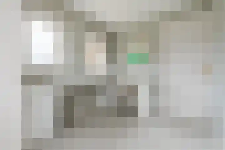 Boringshof 4 Zuidlaren thumbnail 43