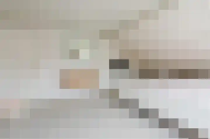 Boringshof 4 Zuidlaren thumbnail 47