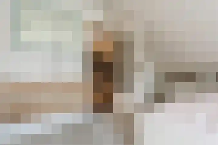 Boringshof 4 Zuidlaren thumbnail 48