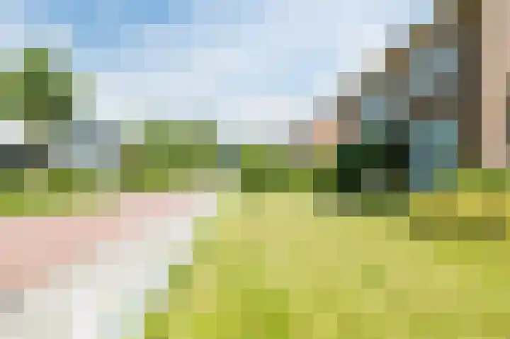 Boringshof 4 Zuidlaren thumbnail 5
