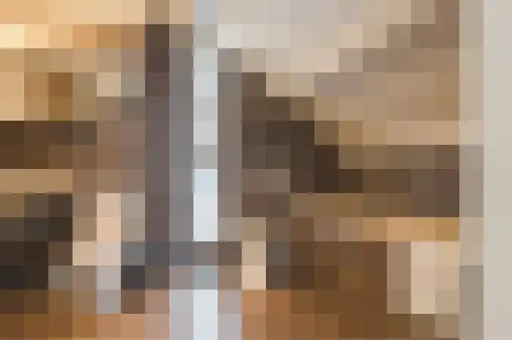 Boringshof 4 Zuidlaren thumbnail 50