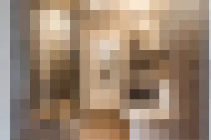 Boringshof 4 Zuidlaren thumbnail 52
