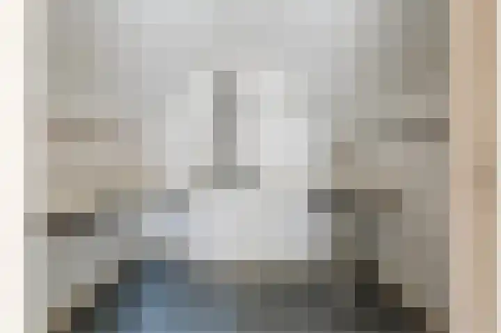 Boringshof 4 Zuidlaren thumbnail 58