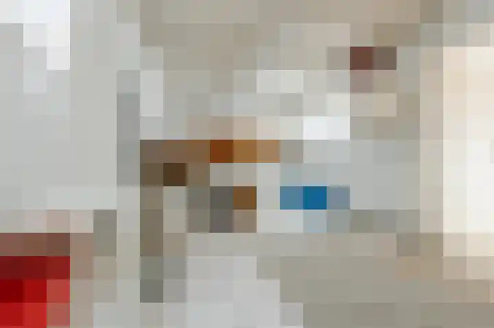 Boringshof 4 Zuidlaren thumbnail 60