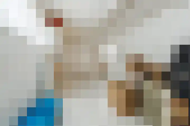 Boringshof 4 Zuidlaren thumbnail 61
